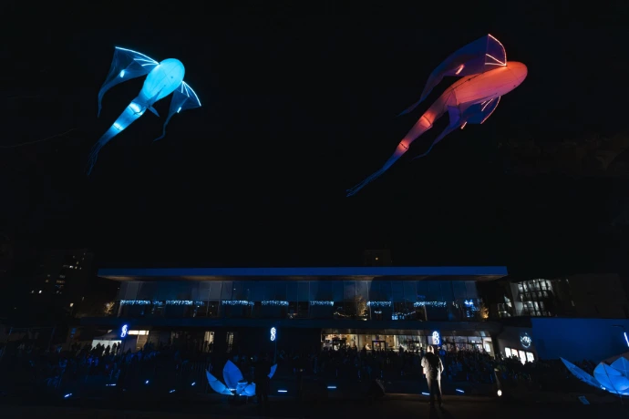 Le Ballet des Luminéoles (3)┬® Compagnie Porté par le Vent.jpg Le Ballet des Luminéoles (3)┬® Compagnie Porté par le Vent.jpg